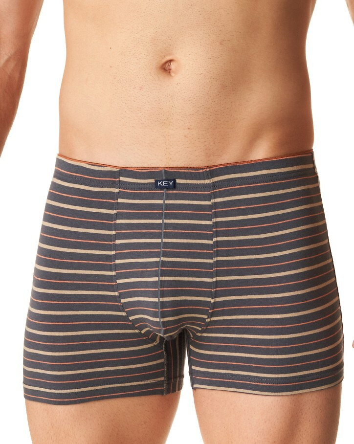 Pánské boxerky Key MXH 303 A24/25 M-2XL šedá XL