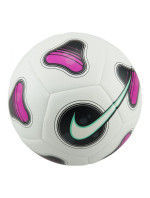 Nike Futsal Pro Football FJ5549-100