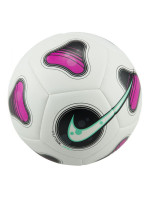 Nike Futsal Pro Football FJ5549-100