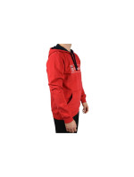 Pánská mikina Helly Hansen 1877 Hoodie M 53338-111