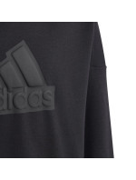 Mikina adidas FI Logo HD Jr HR6301