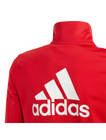 Tepláková souprava adidas Essentials Big Logo Junior IJ6305