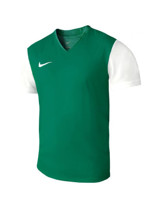 Pánské boty Dri-Fit Tiempo Premier 2 M DH8035 302 - Nike