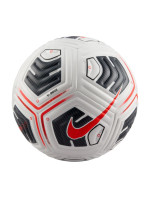 Míč Nike Academy Plus FZ2979-100