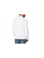 Pánská mikina Helly Hansen Logo Hoodie M 33977-001