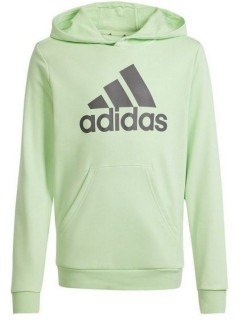 Mikina adidas Big Logo Hoodie Jr IS2591