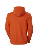 Pánská mikina Helly Hansen Logo Hoodie M 33977-300