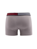 Flex Trunk UM0UM02411-PTM - Tommy Hilfiger