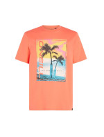 O'Neill Jack Neon T-Shirt M 92800613602