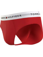 Pánské sáčky na tělo 3P BRIEF UM0UM027640XZ - Tommy Hilfiger