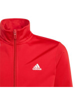 Tepláková souprava adidas Essentials Big Logo Junior IJ6305