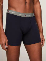 Pánské kalhoty 3P BOXER BRIEF WB UM0UM027650VH - Tommy Hilfiger