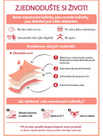 Menstruační kalhotky DIM MENSTRUAL SLIP - DIM - černá