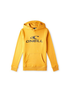 O'Neill Logo Hoodie Jr 92800615006