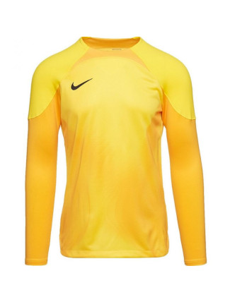 Pánský brankářský dres Gardien IV JSY M DH7967 719 - Nike