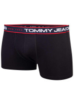 Tommy Hilfiger Jeans Slipy UM0UM029680R7 černá