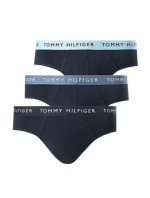 Tommy Hilfiger Wb Brief M UM0UM02389