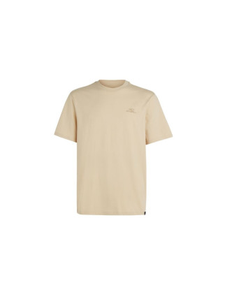 O'Neill Small Logo T-Shirt M 92800613999