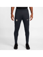 Nike Chelsea FC Strike Pant M FN4131-426