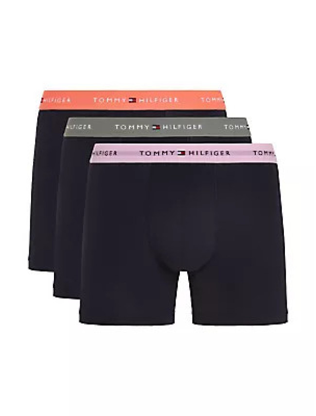 Pánské kalhoty 3P BOXER BRIEF WB UM0UM027650VH - Tommy Hilfiger