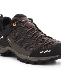 Salewa Pánské boty Mtn Trainer Lite GTX M 61361-7512