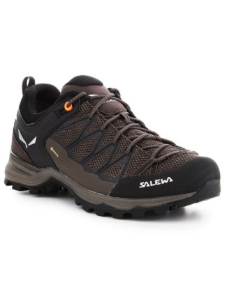 Salewa Pánské boty Mtn Trainer Lite GTX M 61361-7512