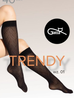 Dámské podkolenky TRENDYLINE KNEE SOCKS 40 - 01