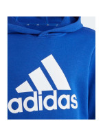 Adidas Big Logo Essentials Hoodie Jr IC6834