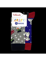 Veselé ponožky 2 páry CRAZY SOCKS 2x - BELLINDA - šedá