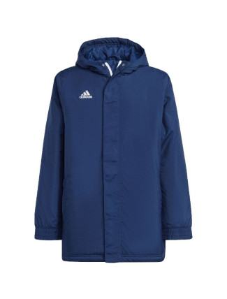 Adidas Entrada 22 Stadium Jr bunda IB6079