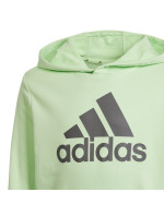 Mikina adidas Big Logo Hoodie Jr IS2591