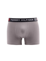 Flex Trunk UM0UM02411-PTM - Tommy Hilfiger