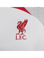 Pánské tričko Liverpool FC M DR4587 015 - Nike