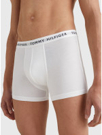 Blízko k tělu Pánské batohy 3P TRUNK UM0UM022030WS - Tommy Hilfiger