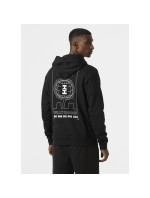 Helly Hansen Core Graphic Sweat Hoodie M 53924 993