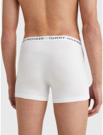 Blízko k tělu Pánské batohy 3P TRUNK UM0UM022030WS - Tommy Hilfiger