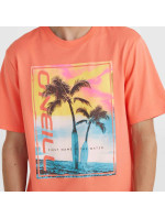 O'Neill Jack Neon T-Shirt M 92800613602