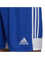 Dětské šortky Tastigo 19 Jr DP3682 - Adidas