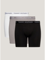 Pánské spodní prádlo 3P BOXER BRIEF UM0UM022040TG - Tommy Hilfiger