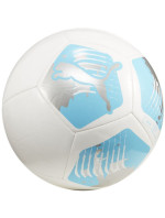 Puma Big Cat fotbal 84214 04