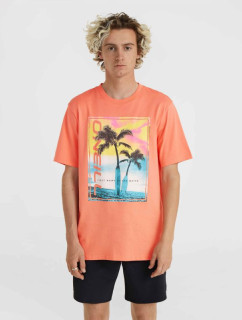 O'Neill Jack Neon T-Shirt M 92800613602