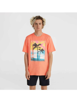 O'Neill Jack Neon T-Shirt M 92800613602