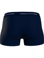 Blízko k tělu Pánské batohy 3P WB TRUNK UM0UM027630YV - Tommy Hilfiger