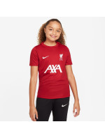 Nike Liverpool FC DF Academy Pro SS Top Jr Shirt FQ2753-688