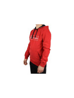 Pánská mikina Helly Hansen 1877 Hoodie M 53338-111