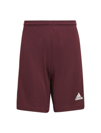 Squadra 21 Short Jr GN8081 - Adidas