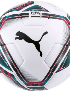 Puma teamFINAL 21.3 Fifa Quality Ball 083306 01