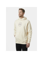 Helly Hansen Core Graphic Sweat Hoodie M 53924 034