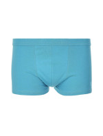 Pánské boxerky 22052 State light blue - HENDERSON