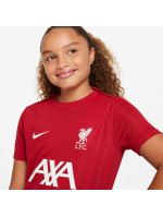 Nike Liverpool FC DF Academy Pro SS Top Jr Shirt FQ2753-688